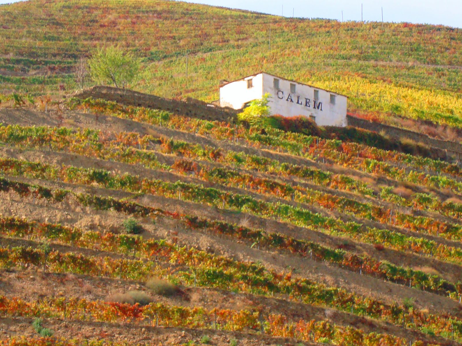 [Douro+052.JPG]