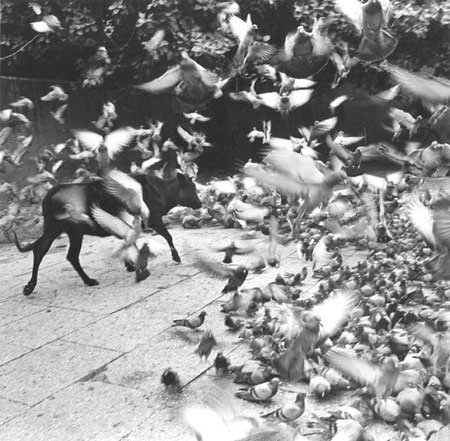 [Graciela+Iturbide2.jpg]