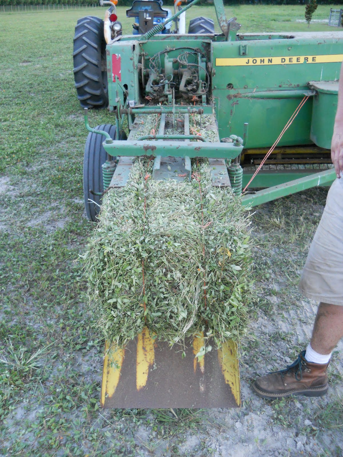 MacLaren Family Peanut Hay