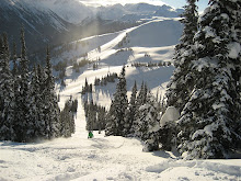 Harmony Bowl Whistler