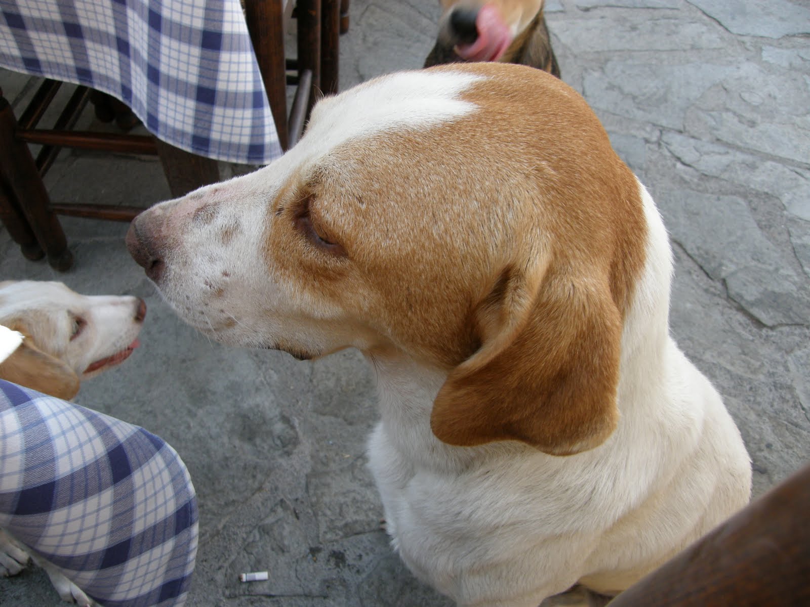 [P8281819.JPG]