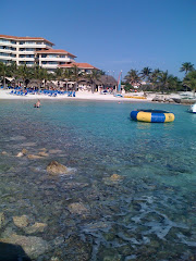 Hotel and beach for snorkling
