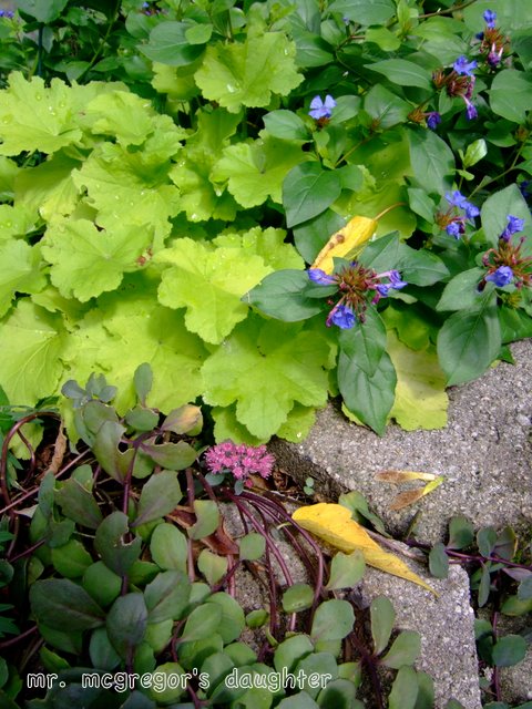 [DSCF8759.JPG]