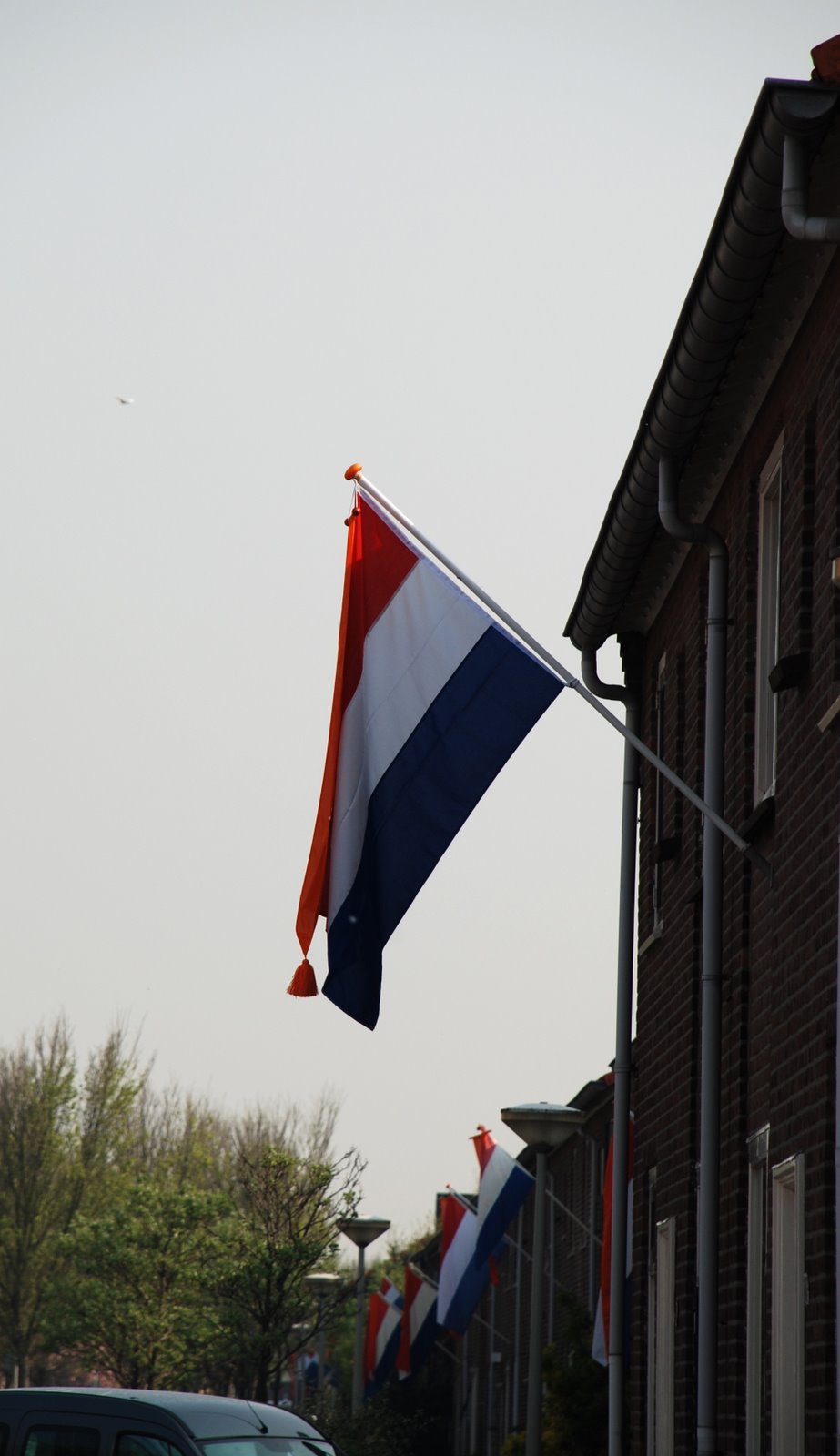 [DSC_0154.JPG]