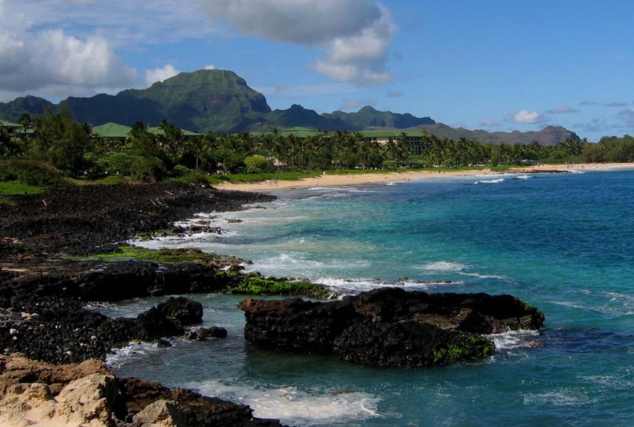 [070929-Flickr-WaltK-Kauai-HyattRegencyResort-s.jpg]