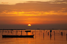 SERENIDAD EN EL MAR