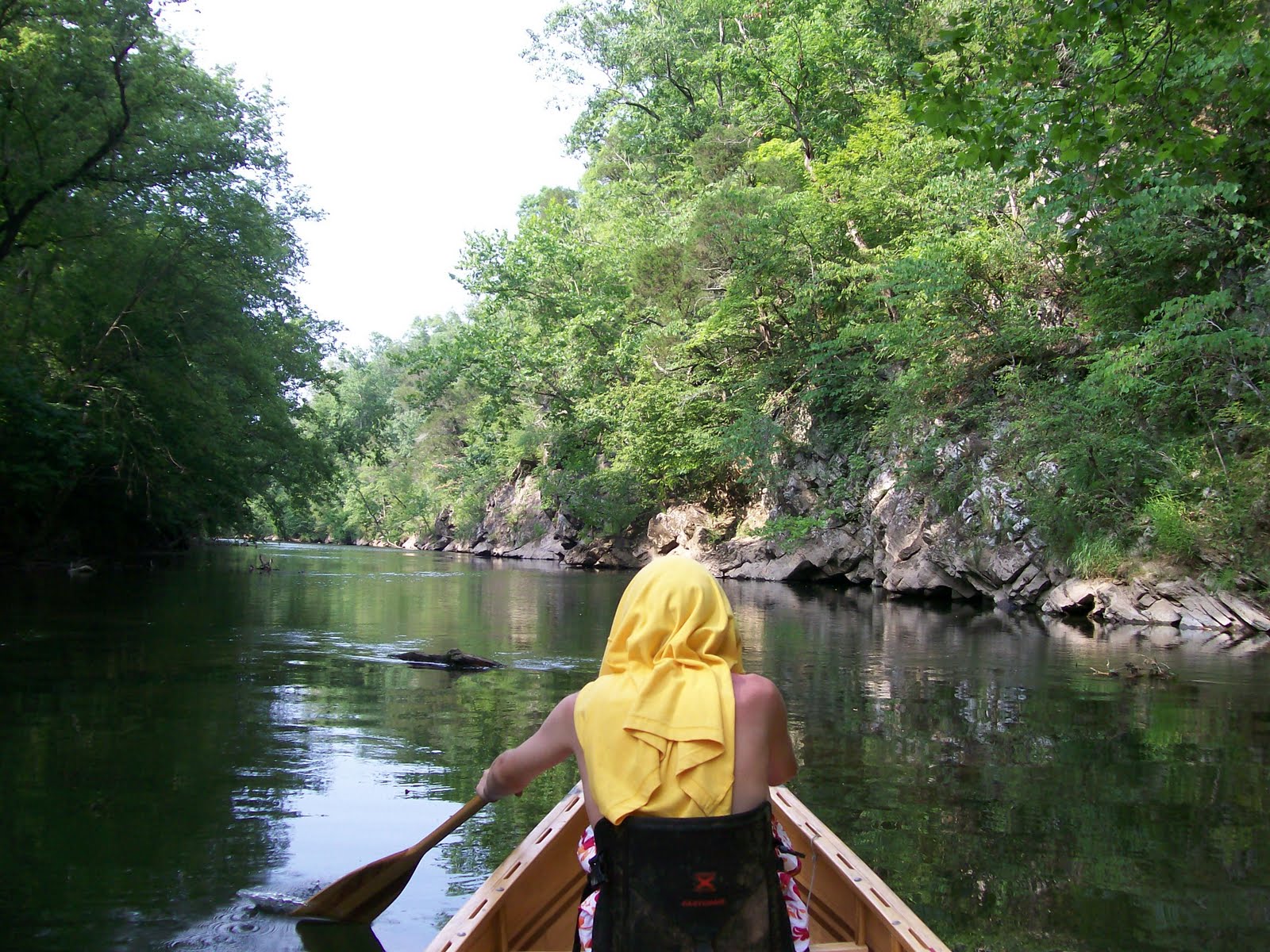 Paddling the Little Tennessee River The very upper part of Tellico Lake