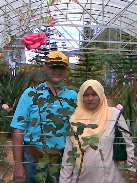 my parents..