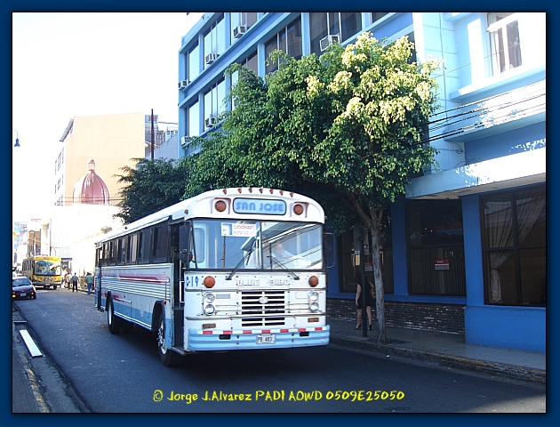 [DSC09571.JPG]
