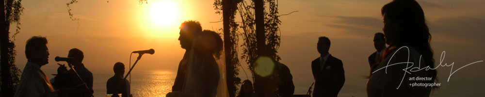 Wedding Collection by Ardaly