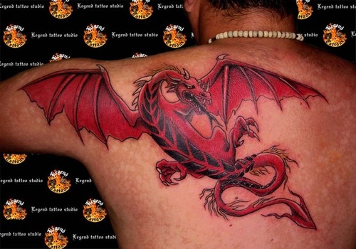 Dragon+tattoo+designs+for+men+arms