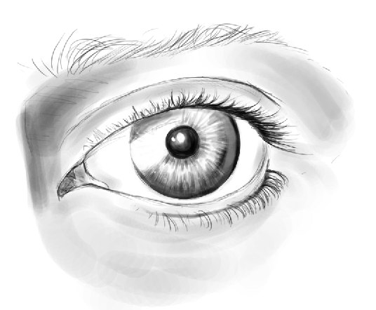 sketch eye