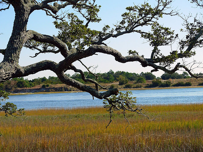 Intercoastal Waterway