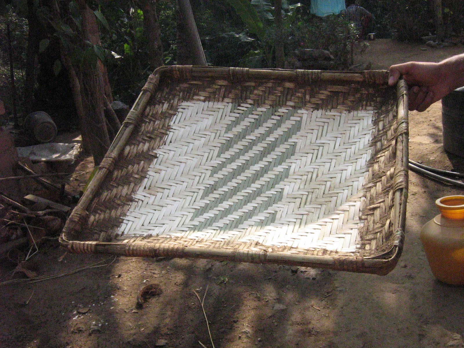 Nature shots Muram and Parambu