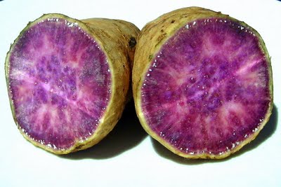 purple hawaiian potato purple hawaiian potato