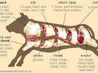 Cow Steak Diagram Cow Steak Diagram