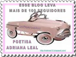 SELO PARAQUEM TEM  MAIS DE 100 SEGUIDORES