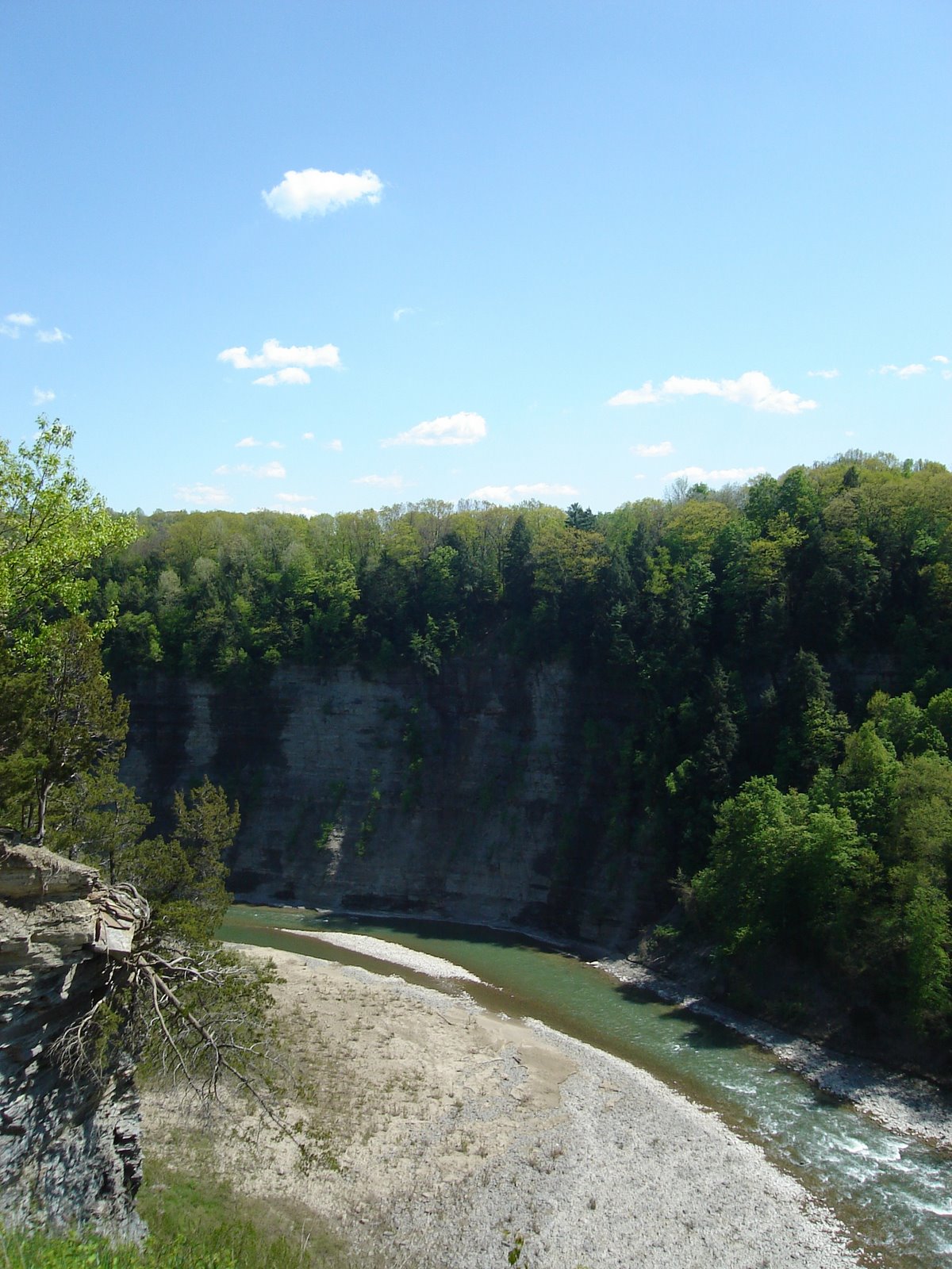 [DSC01907.JPG]