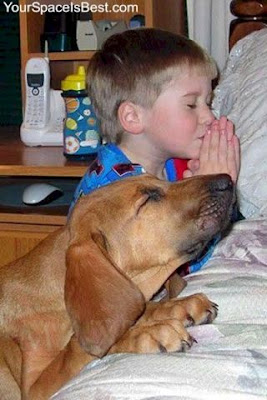 inspirational-picture-boy-dog-praying.jpg
