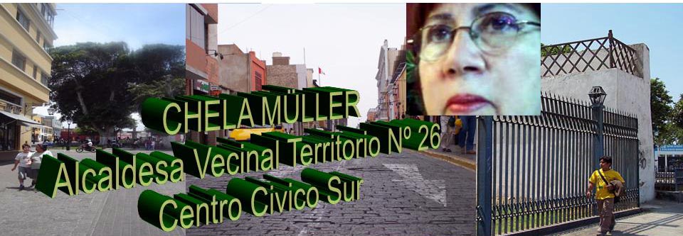 TERRITORIO VECINAL Nº 26 - CENTRO CIVICO SUR - TRUJILLO - PERU