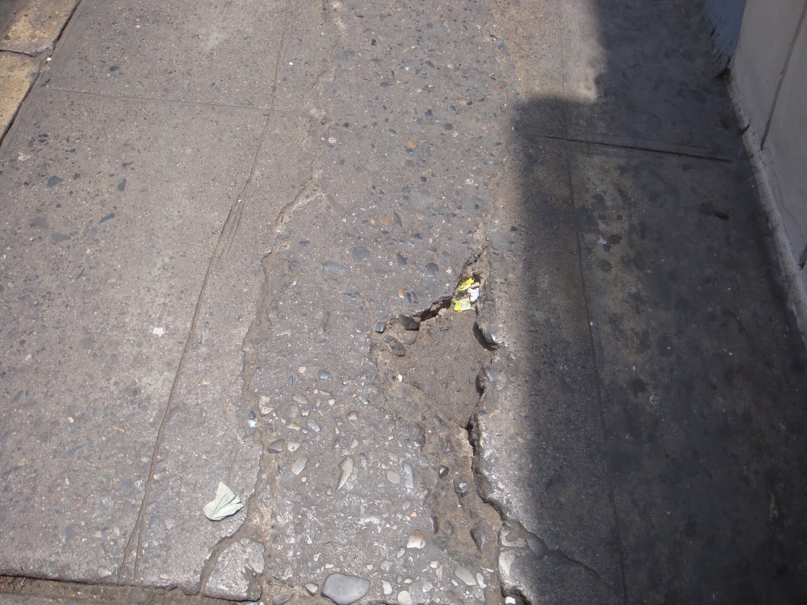 [DSC00476.JPG]
