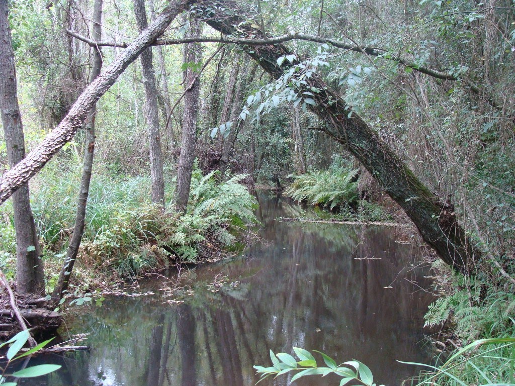 [Ribeira+da+Foz+2.JPG]