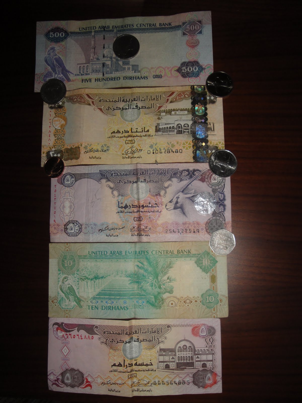 Alvin Isd Moodle alvin isd