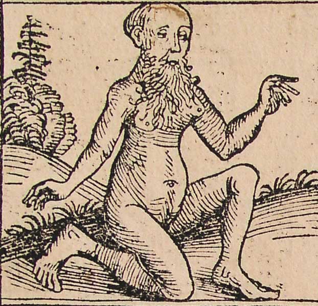 [androgyn_II.jpg]