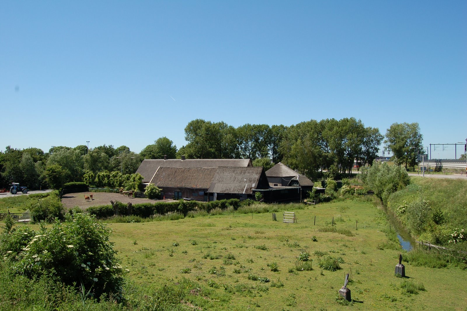 [roodnoot(overzicht2).JPG]