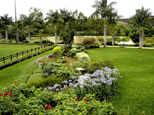 Brasilian farm detail