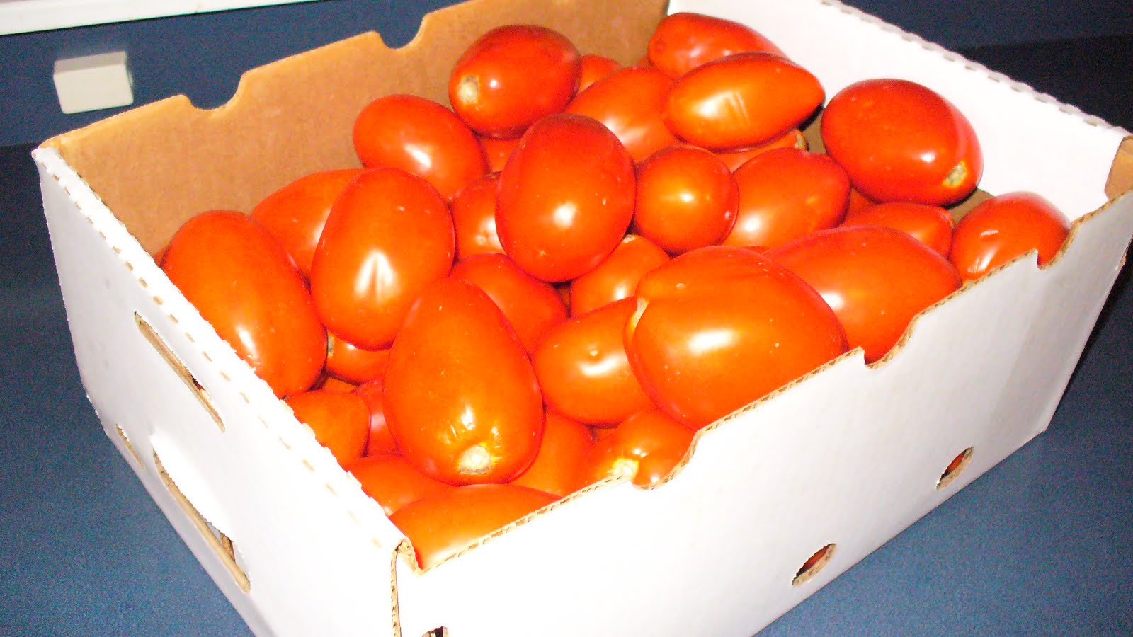 Roasted Red Plum Tomato Sauce Great Freezer Recipe Family Balance Sheet