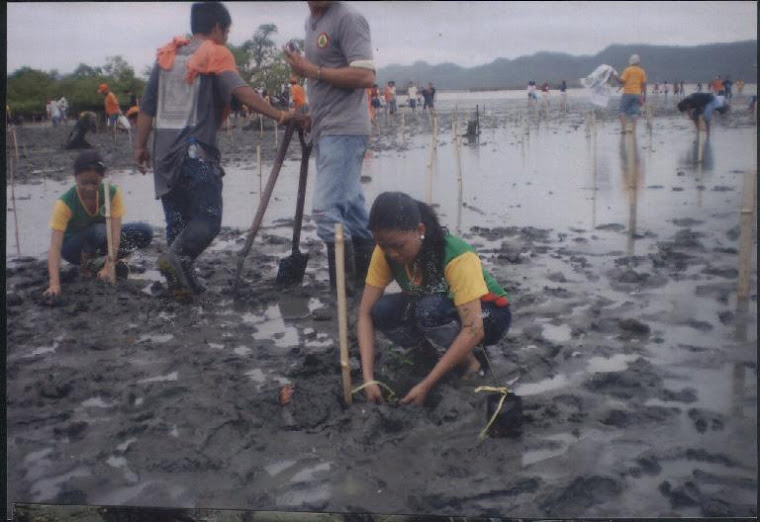 GOLDEN Z CLUB COASTAL CLEANUP