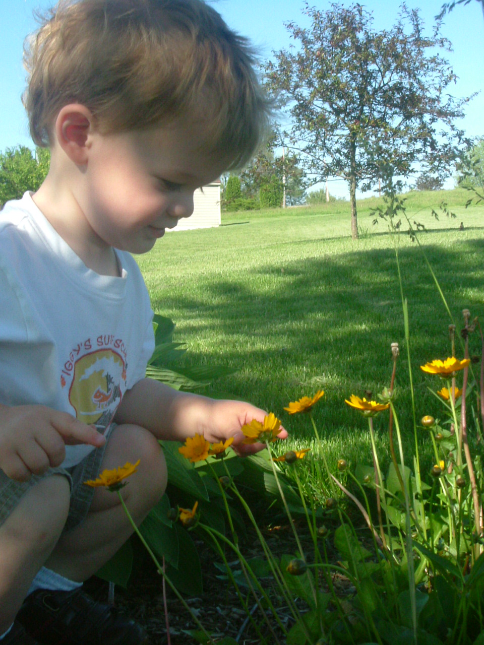 [Sam+and+the+flowers.jpg]