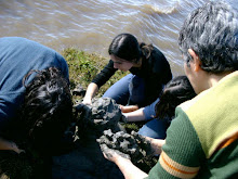 haciendo a "La Eulogia"