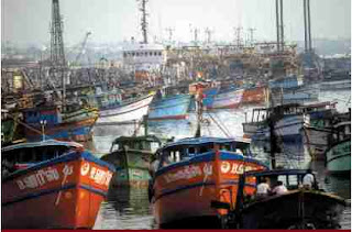 argentina-un-millon-de-kilos-de-pescado-muerto-son-arrojados-al-mar-por-dia