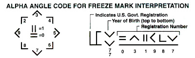 Mustang Freeze Brand
