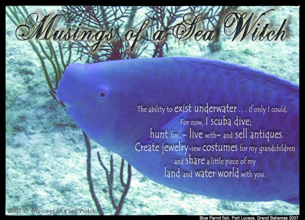 musings of a sea witch