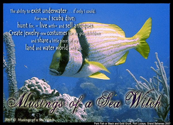 musings of a sea witch