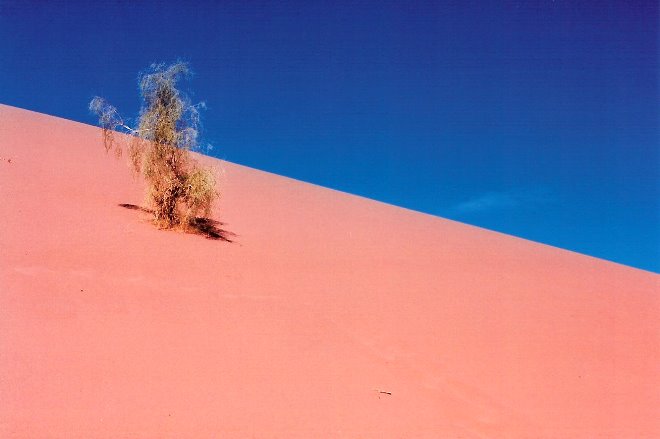 Duna en la Zona Red Sand del desierto Wadi Rhum