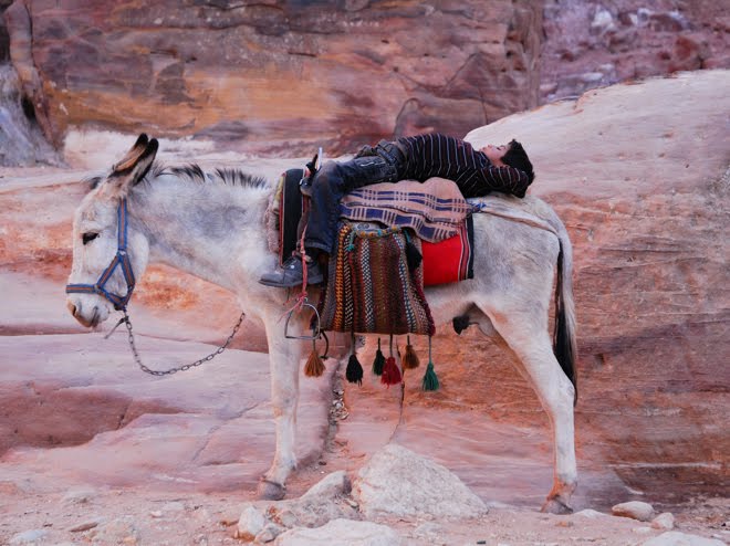 La siesta en Petra