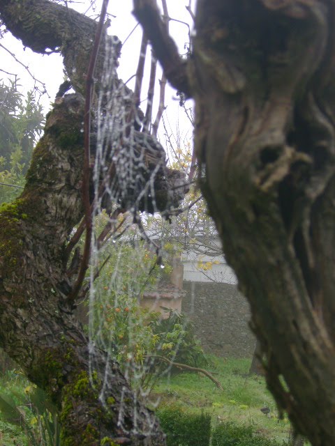 [DSC02110.JPG]