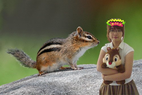 [queen+of+chipmunk+3.jpg]