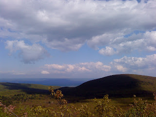 picture unrelated to the rest of the psot