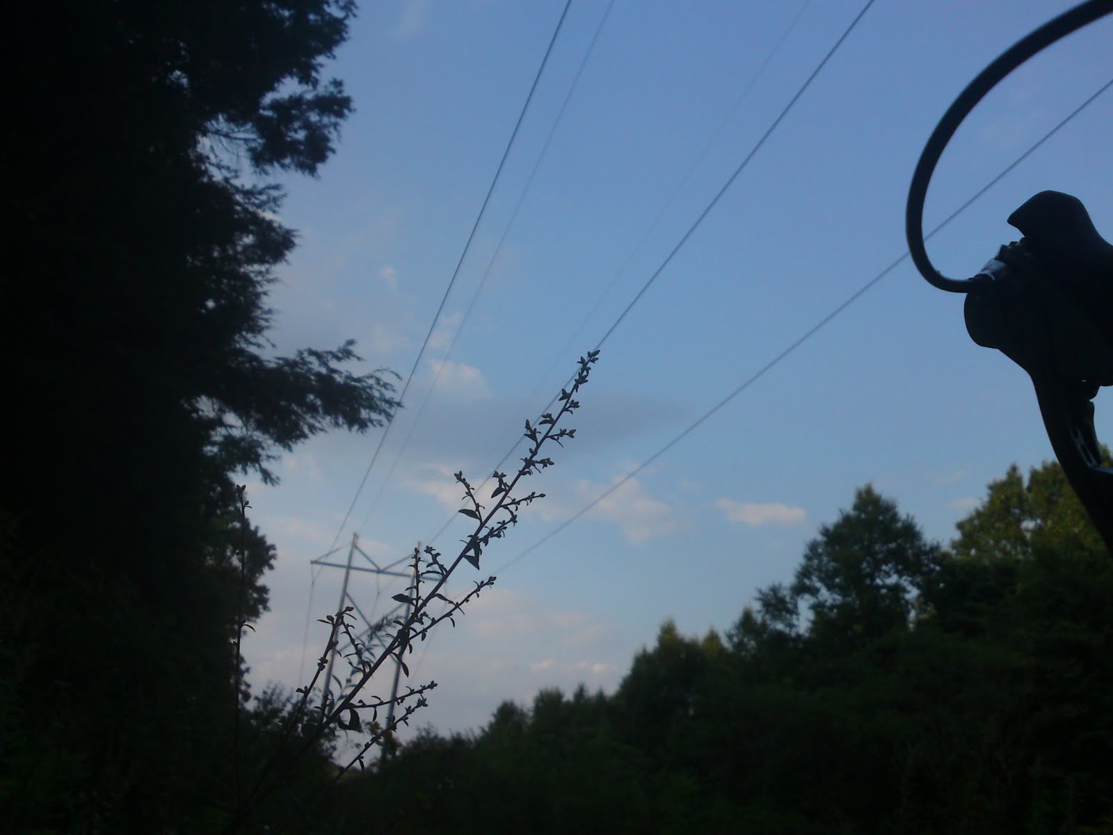 the beat bike blog Ulnar Neuropathy