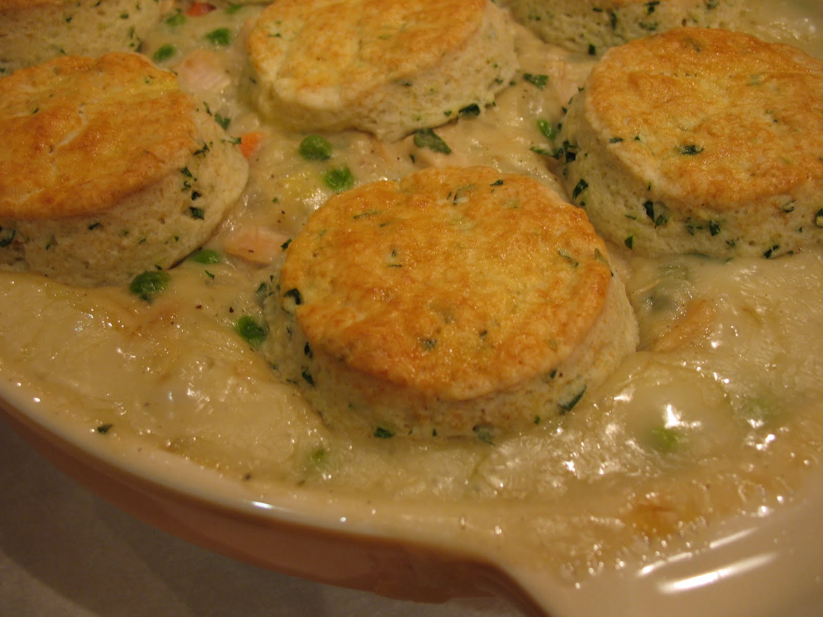 Leftover Turkey Turkey and Biscuit "Pie"?