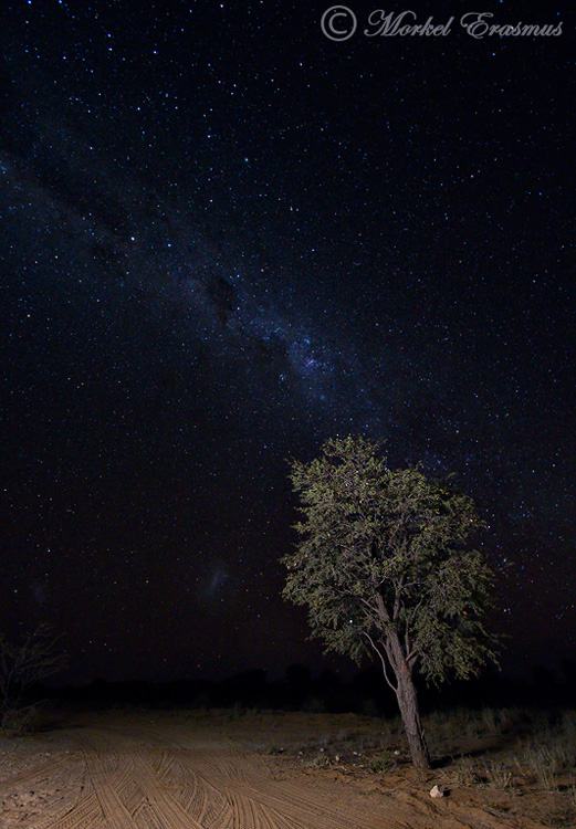 SAFFAscapes The Amazing African Night Sky