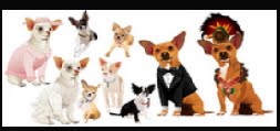 Doggie shop