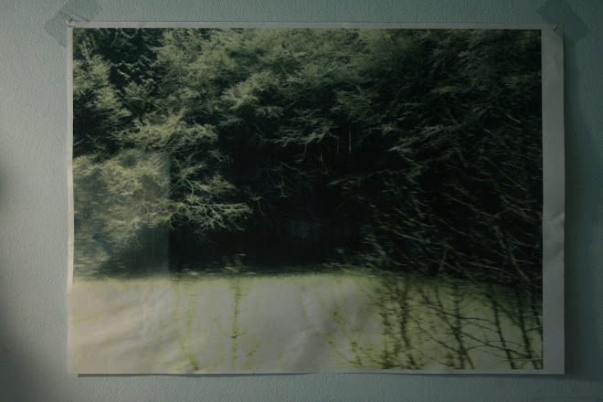 a place in the woods