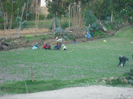 People working in their field