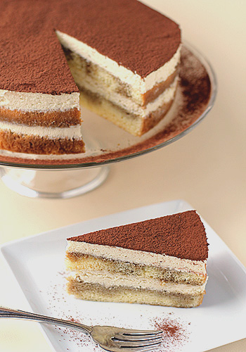 Chocolate Sponge Cake For Tiramisu Chocolate Sponge Cake For Tiramisu